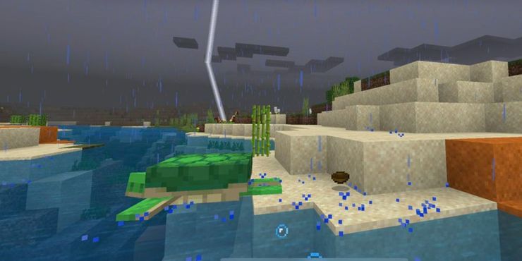 Minecraft Turtle Struck By Lightning