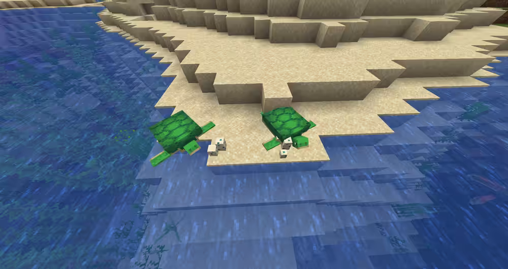 Turtles laying eggs