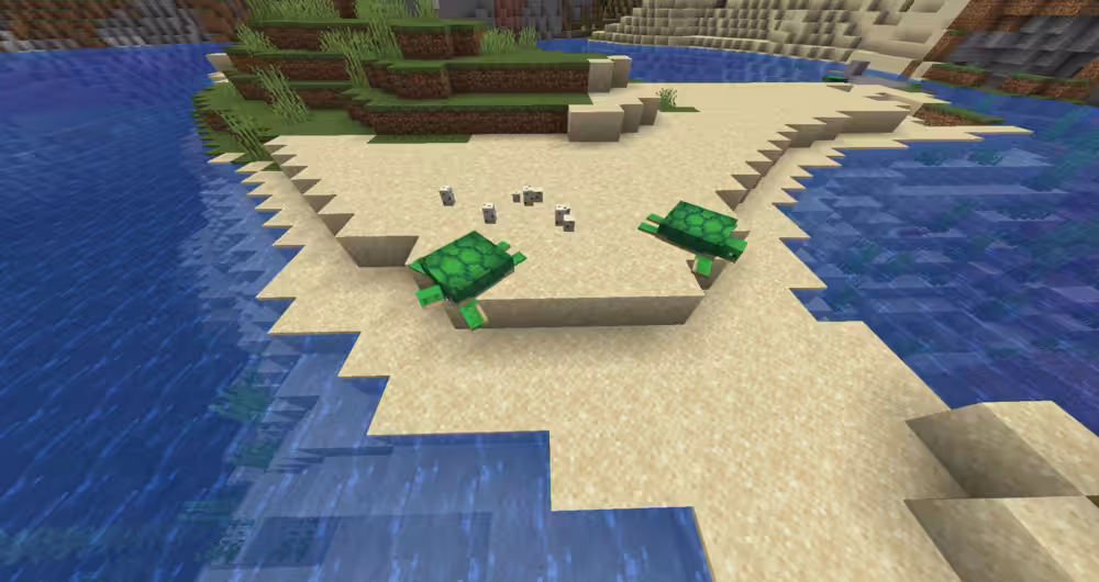 Turtles with eggs
