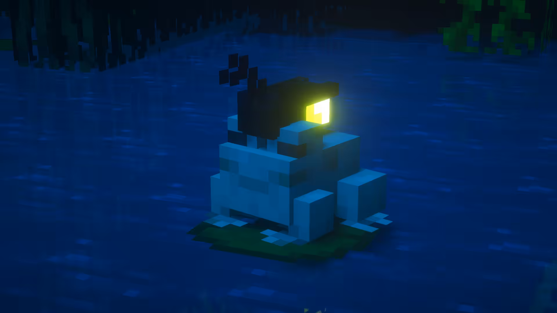 firefly on frog