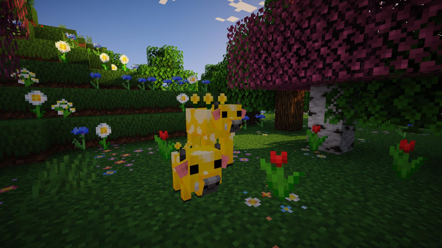 Better details. Better details. Tails майнкрафт 1. Ресурс пак на биомы 1. Optifine 1.