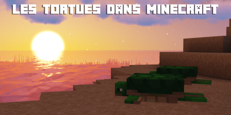 tortues minecraft