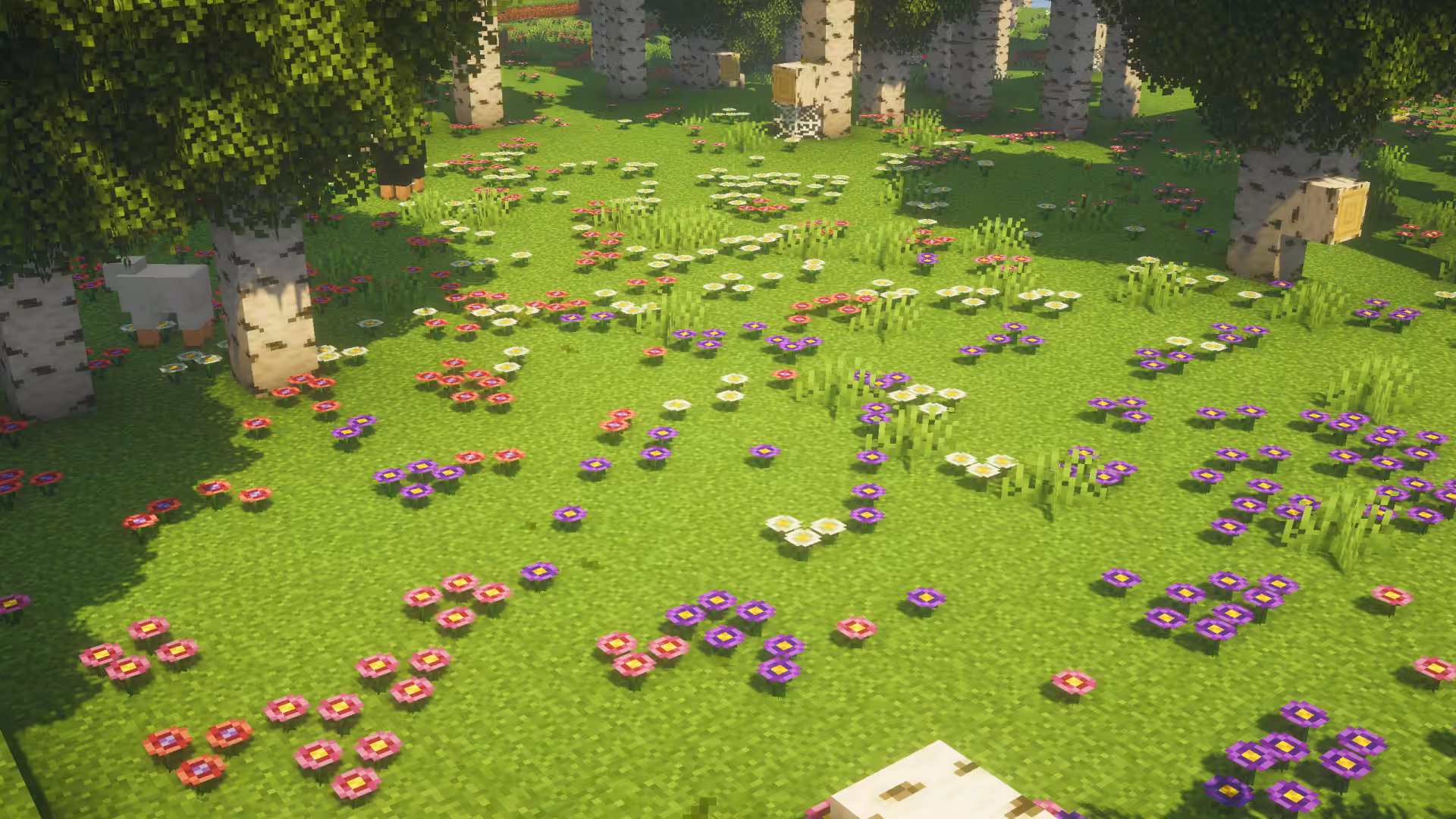 violet field
