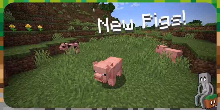 Quality Animals Une