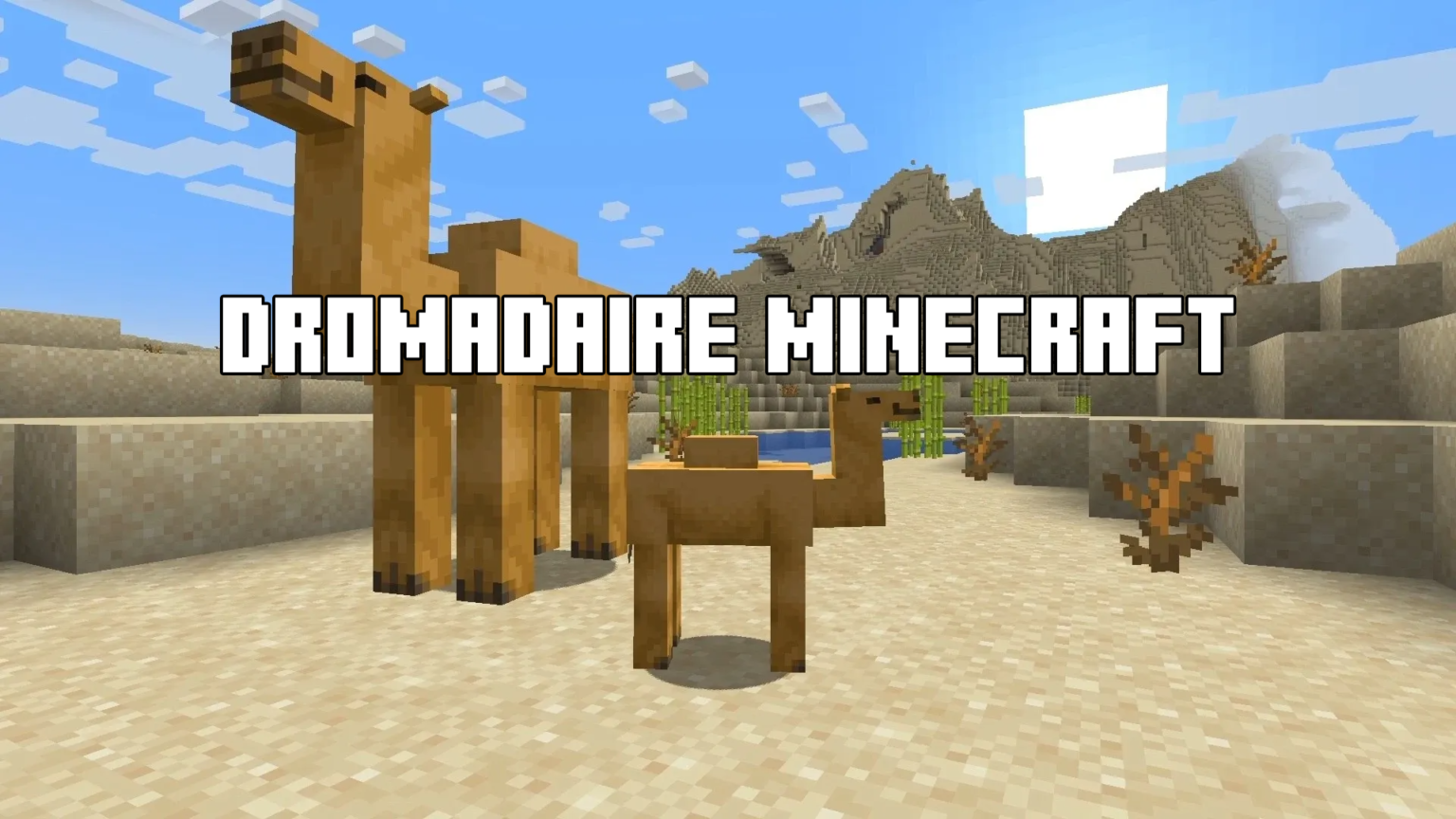 Tout savoir sur le dromadaire dans Minecraft - Minecraft-France