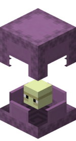 Shulker