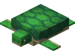 Tortue