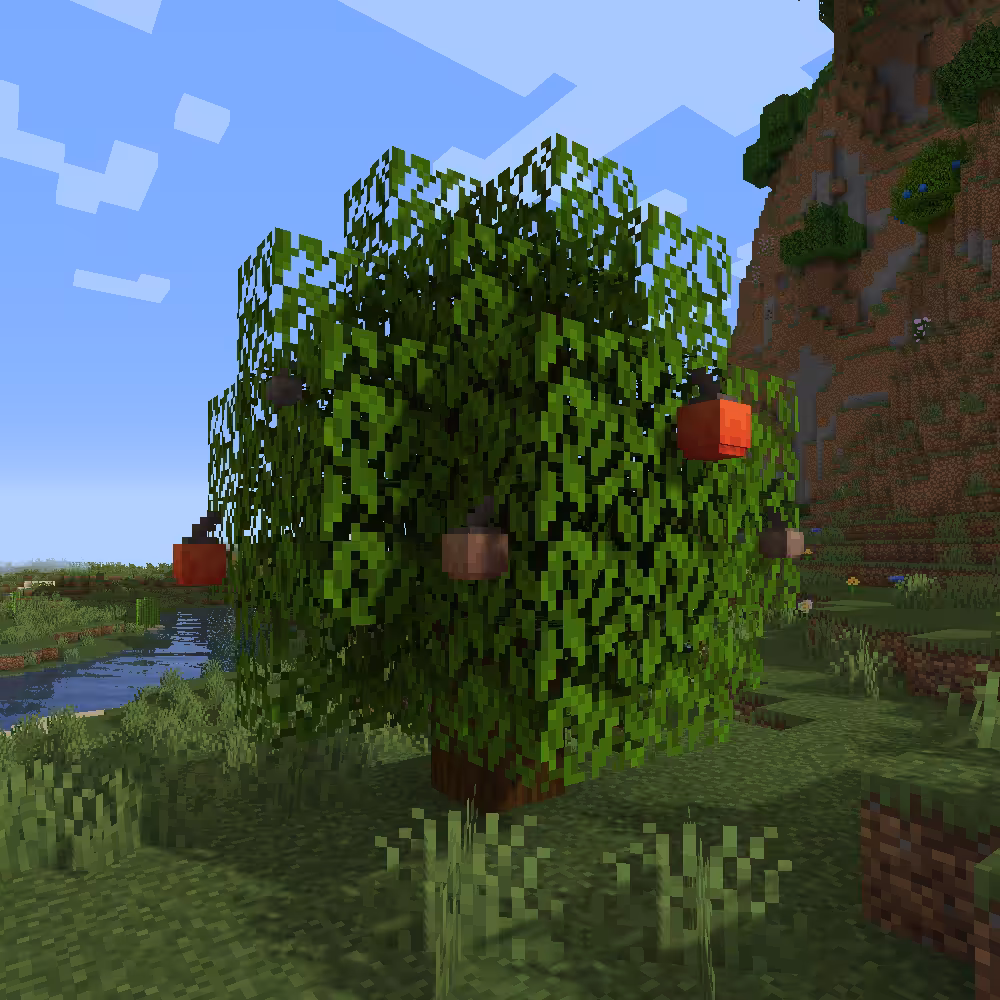 arbre a baies