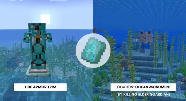 Tide Armor Trim 1