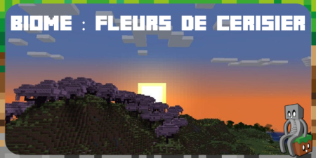 biome fleurs de cerisier