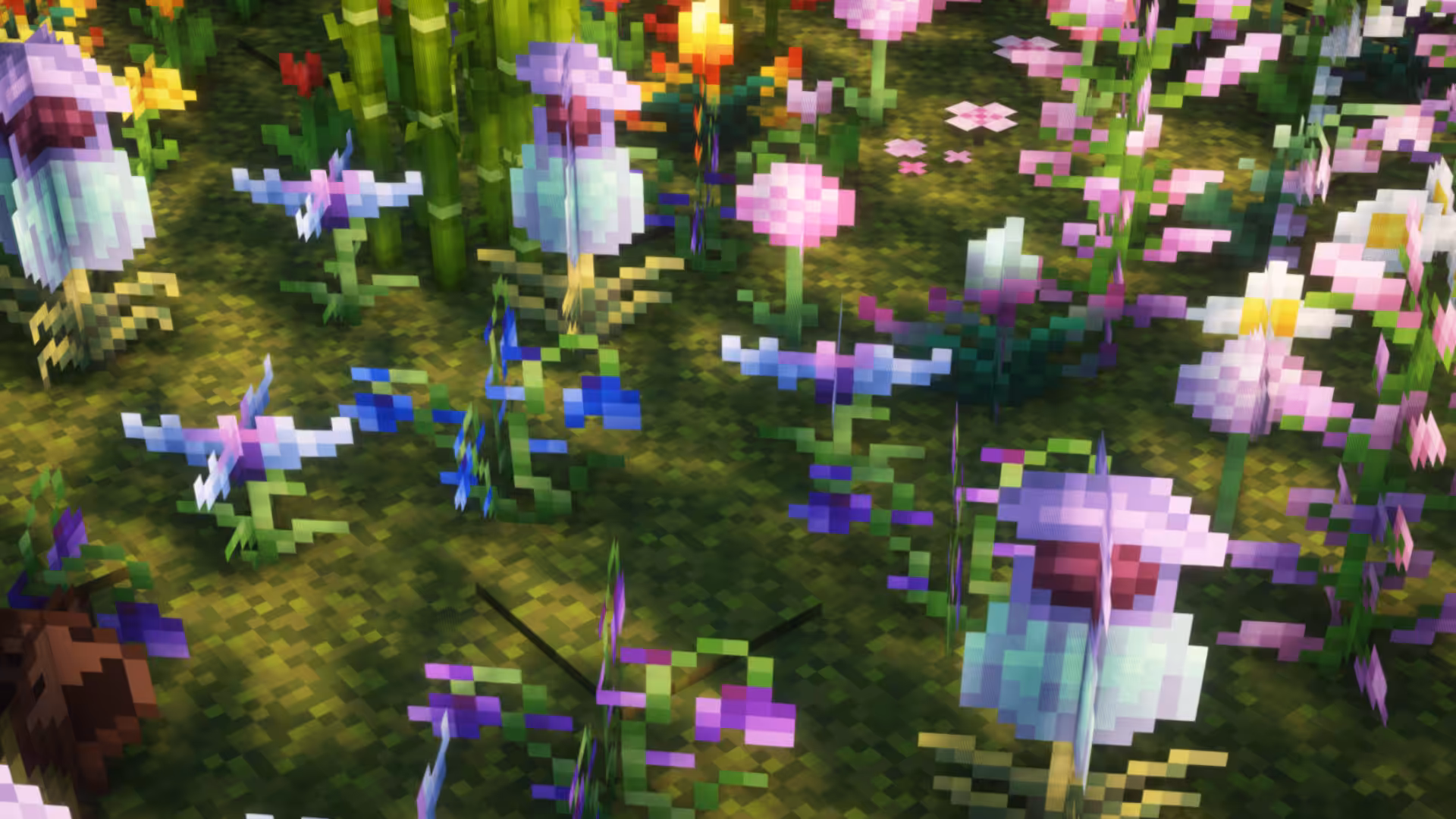 blue flowers