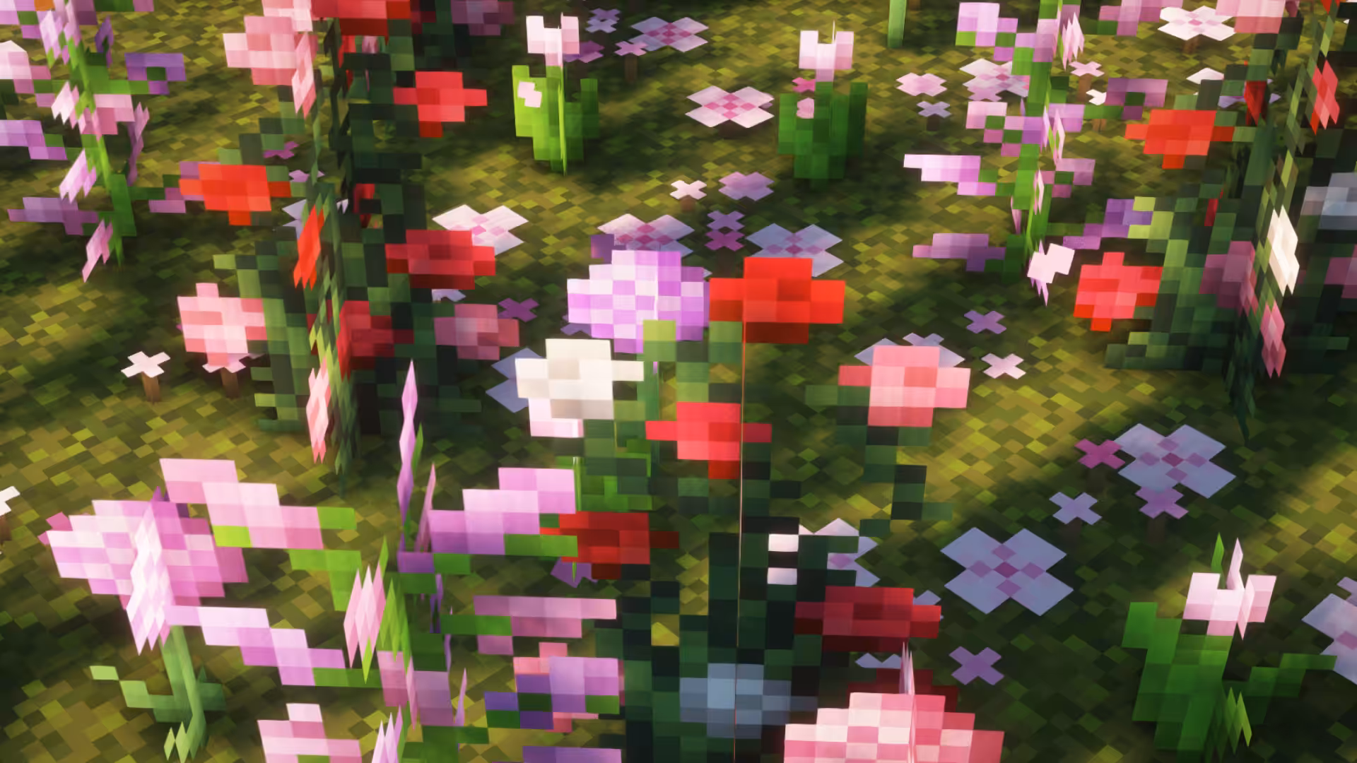 pink flowers