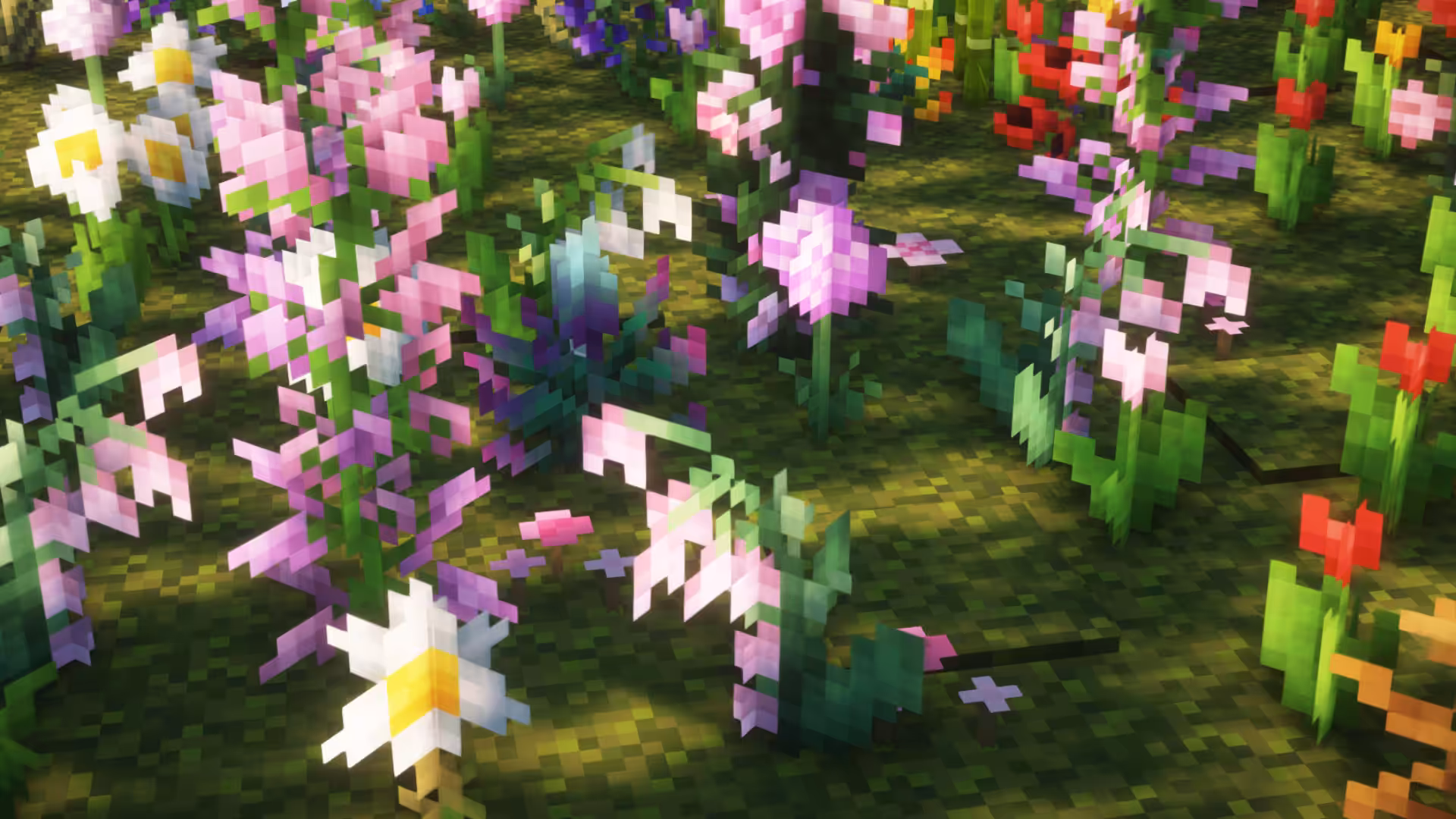 pink flowers2