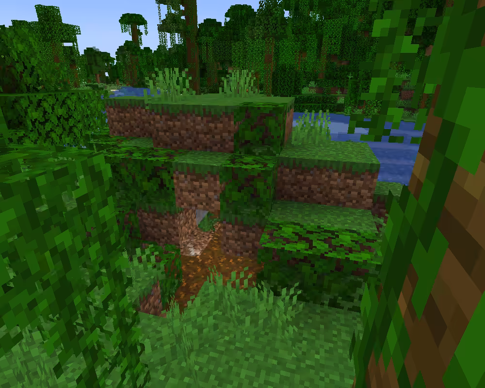 site ocelot
