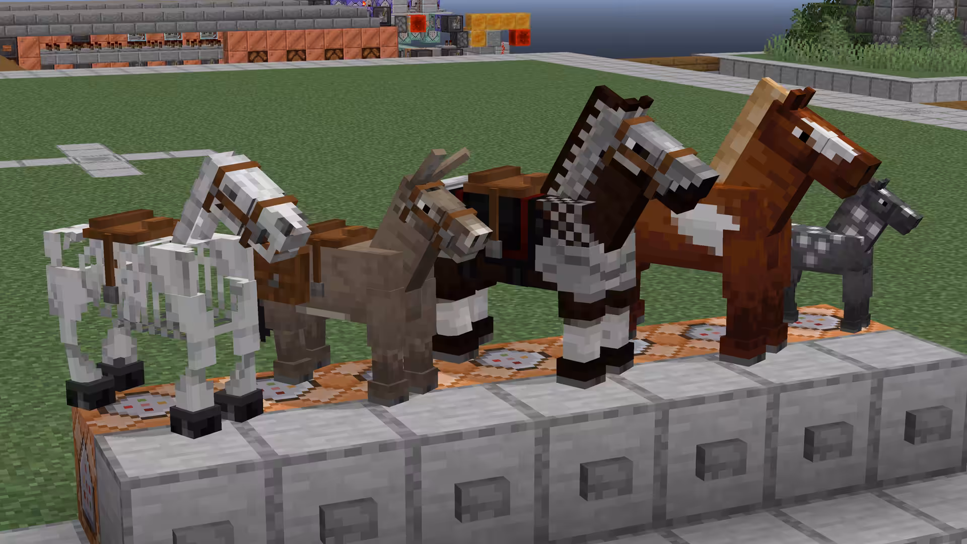 chevaux fresh animations