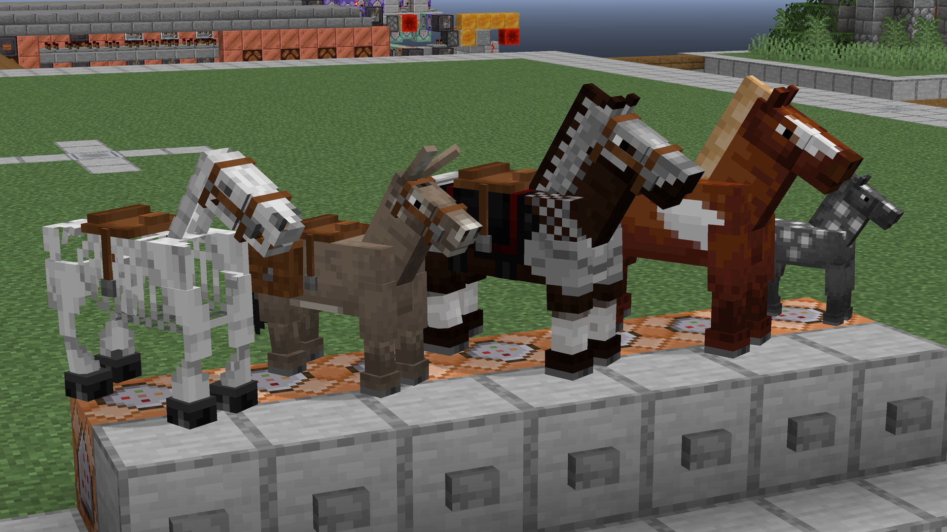 chevaux fresh animations