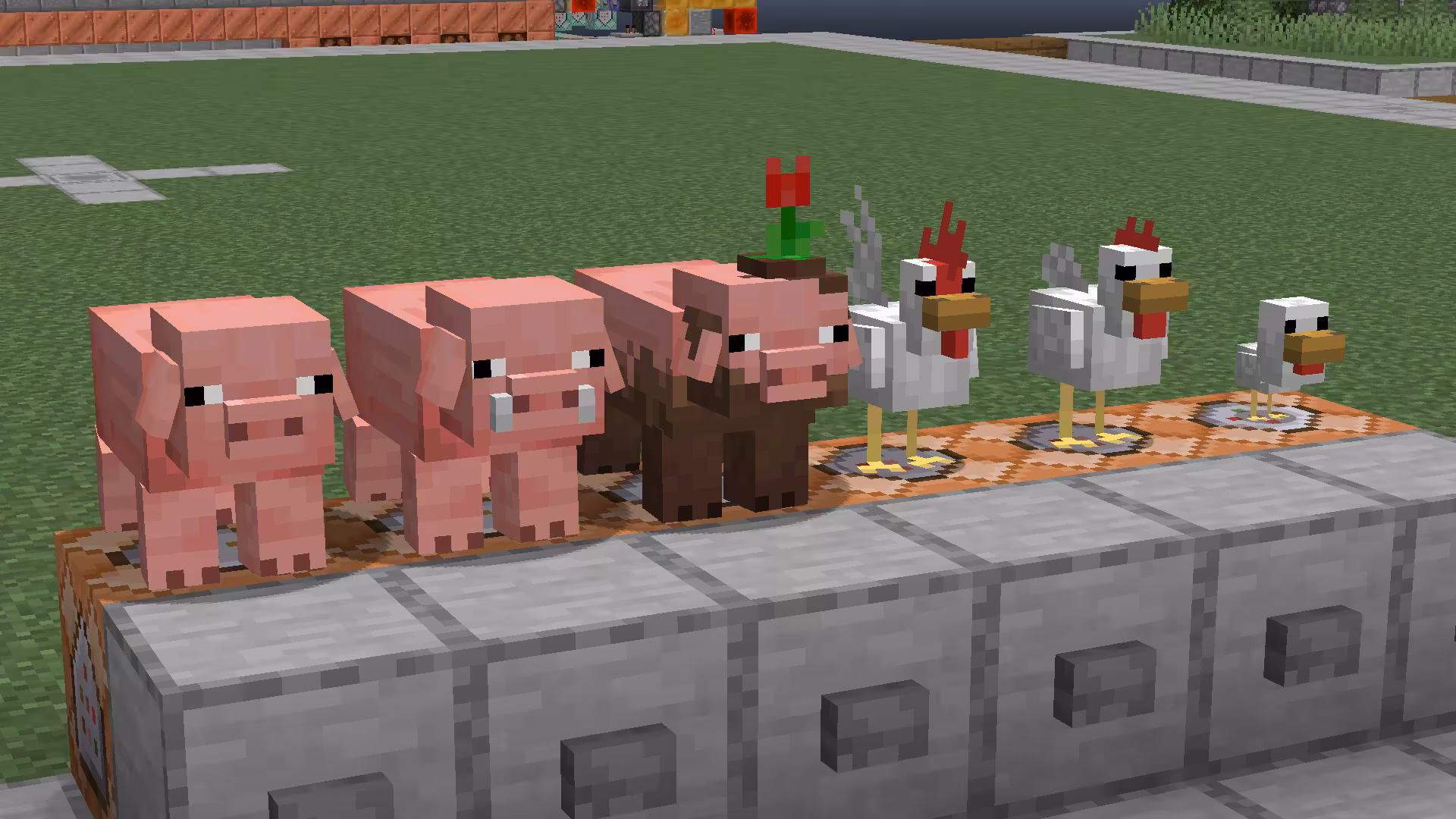 cochons fresh animations