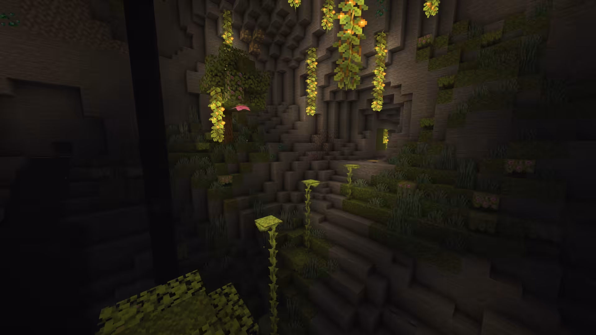 16955041 shaders descent xl