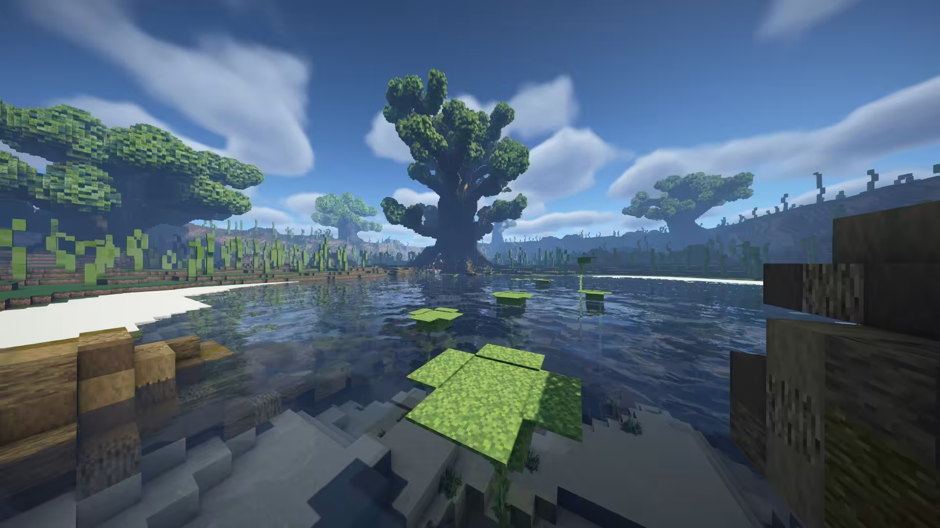 16955042 shaders frogger xl