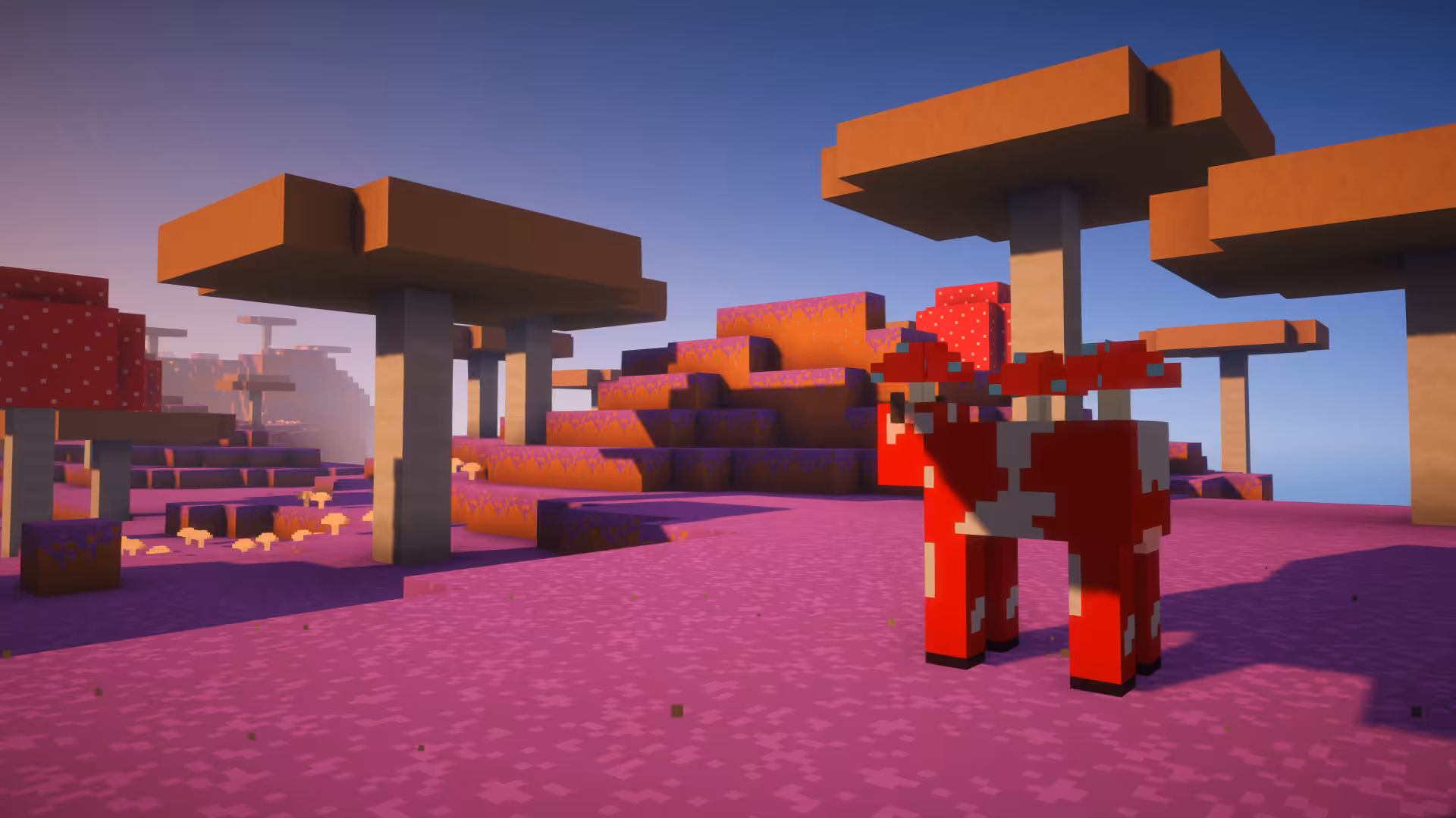 biome champignon trailer vision