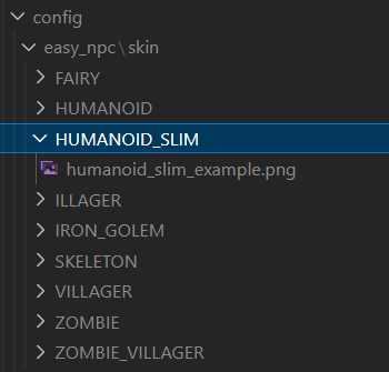 custom skin folder