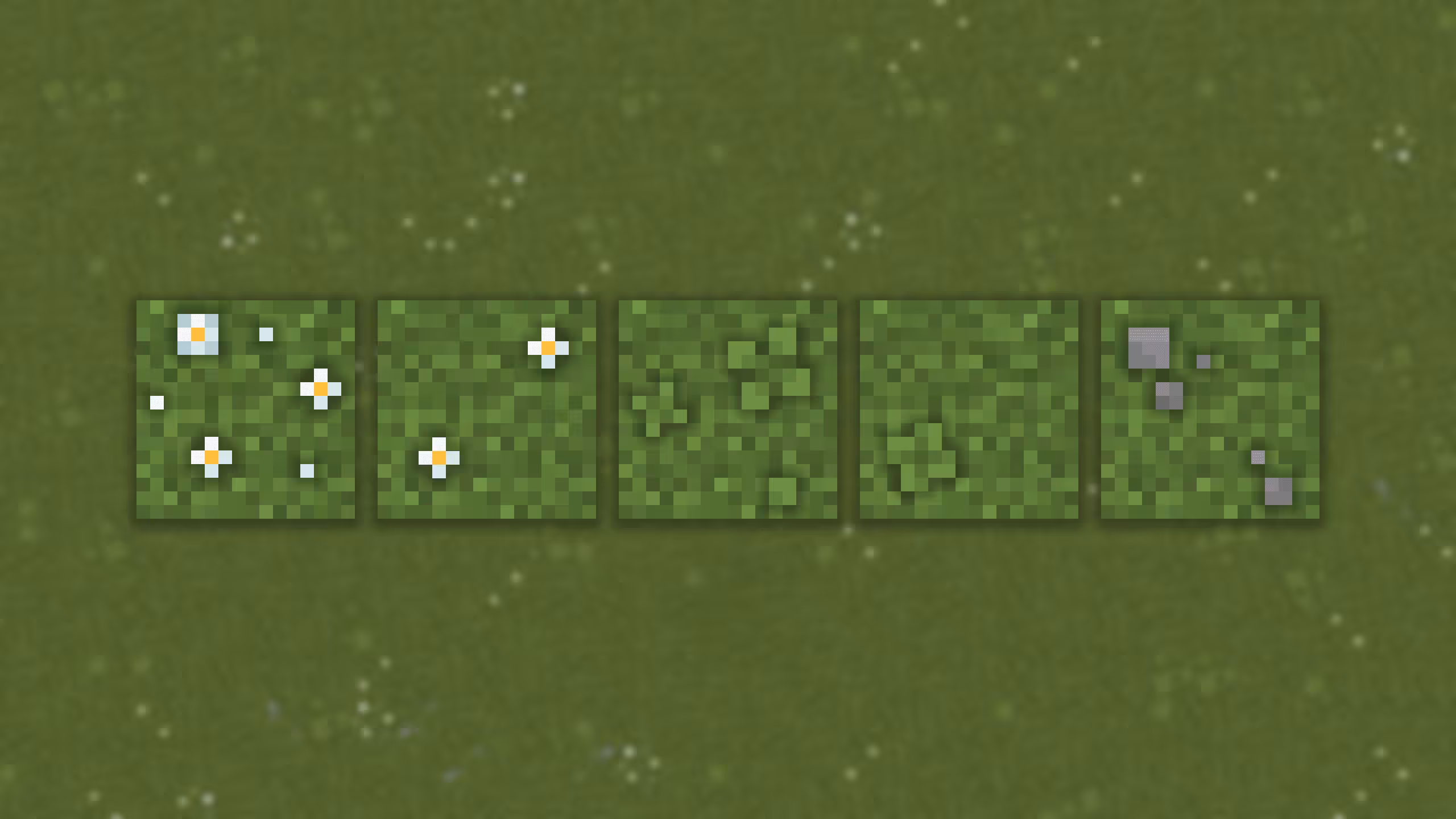 fleurs et rochers simple grass flowers