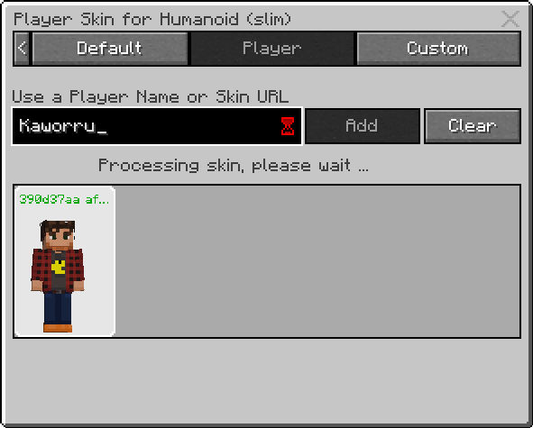 player skin