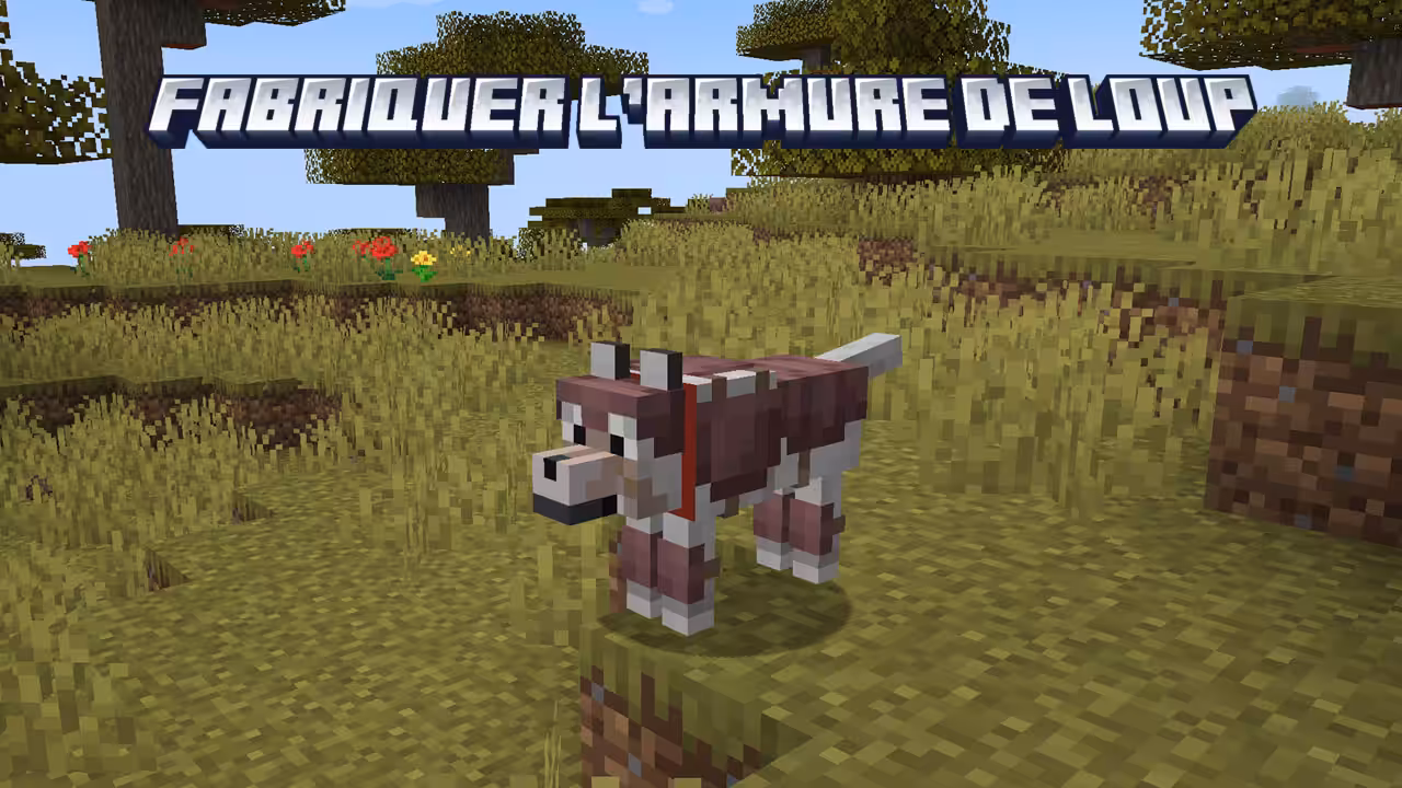 guide-armure-de-loup