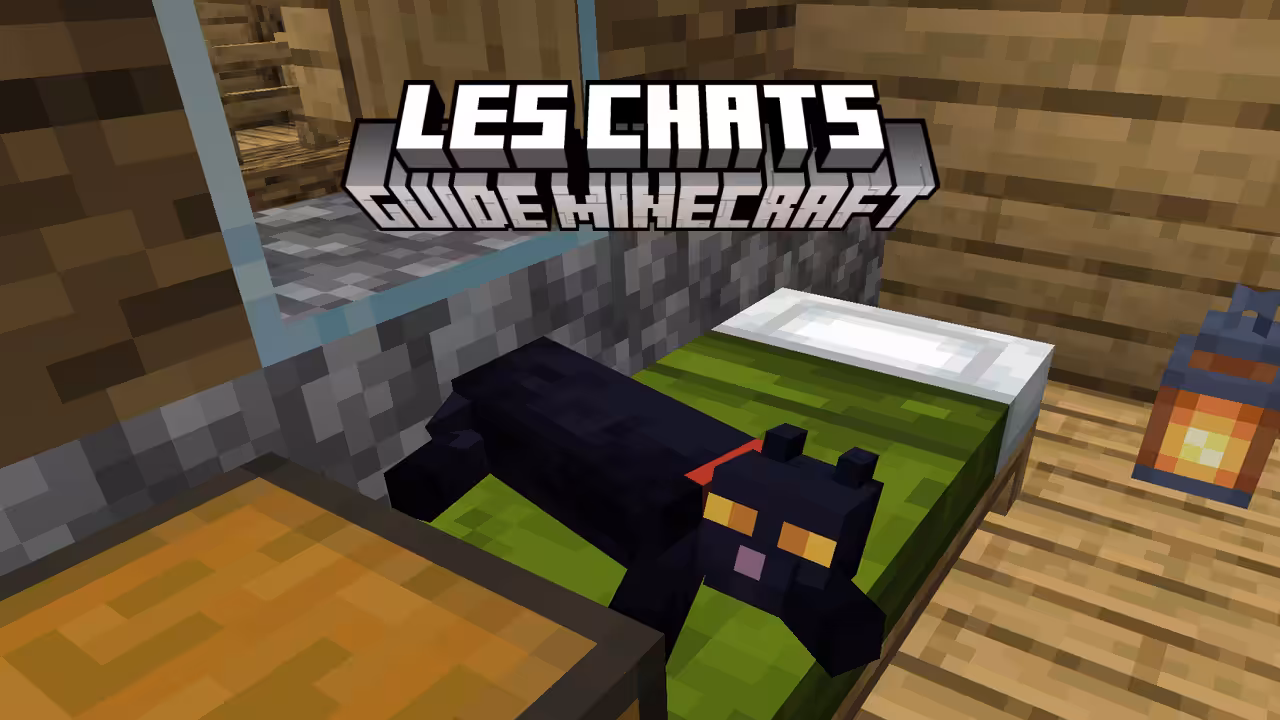 Guide-Chat-Minecraft
