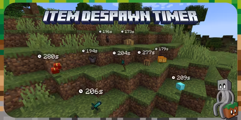Mod : Item Despawn Timer