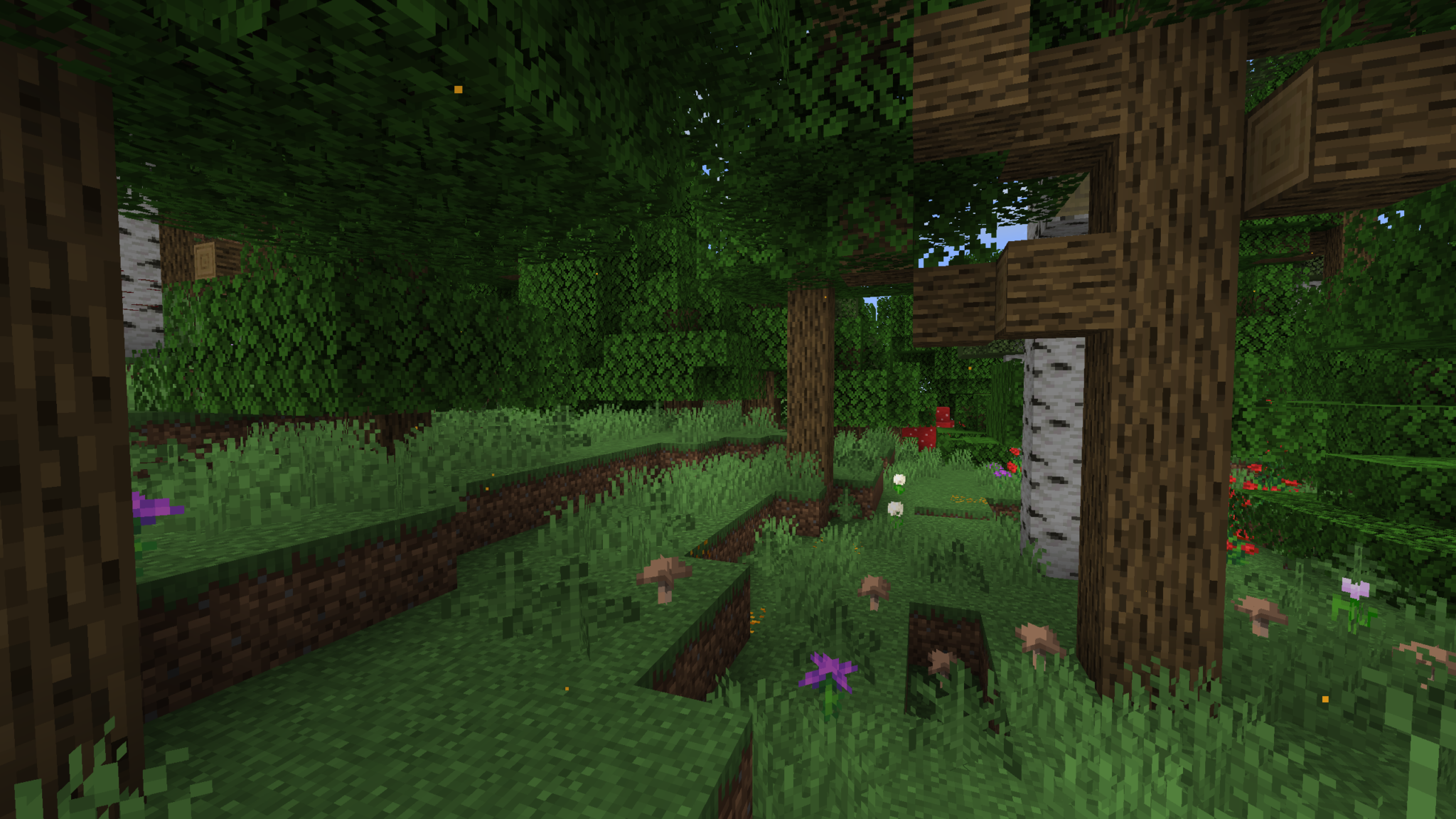 [Mod] Wilder Wild [1.19.4 - 1.21.8] - Minecraft-France