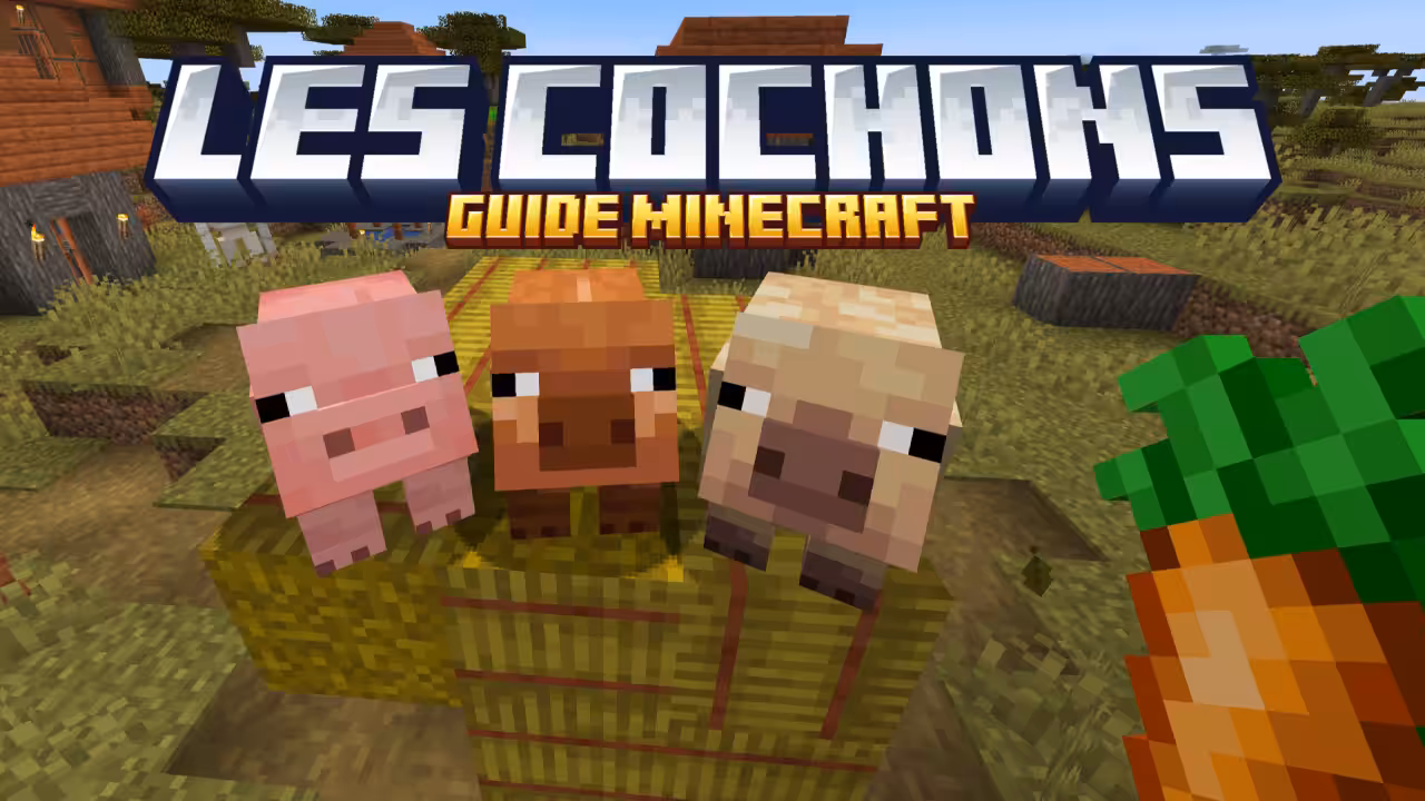 Cochon-Minecraft guide