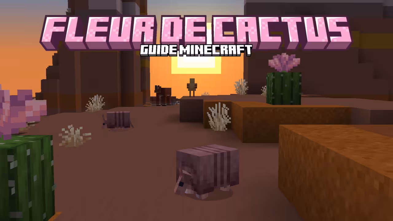 Guide Fleur de Cactus