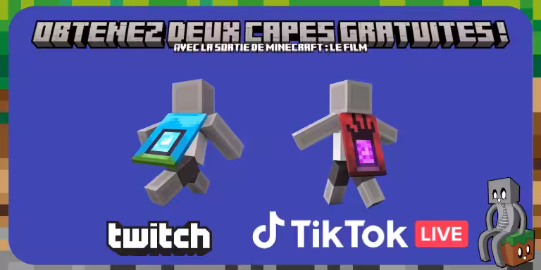Capes Minecraft Film