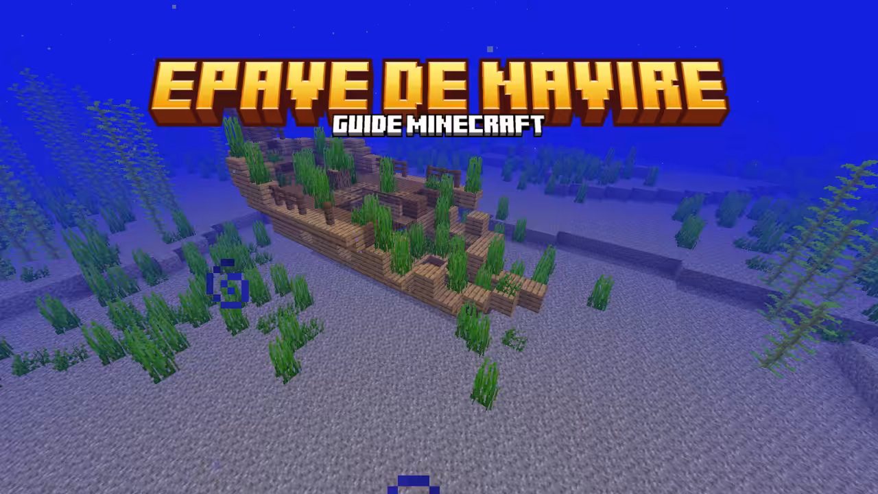 Epave de navire