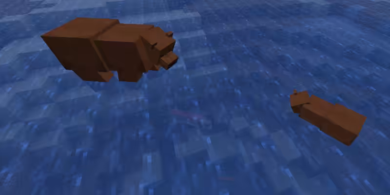 Ours brun dans l'eau grâce au mod Bear Minimum