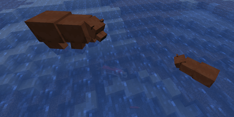 Ours brun dans l'eau grâce au mod Bear Minimum
