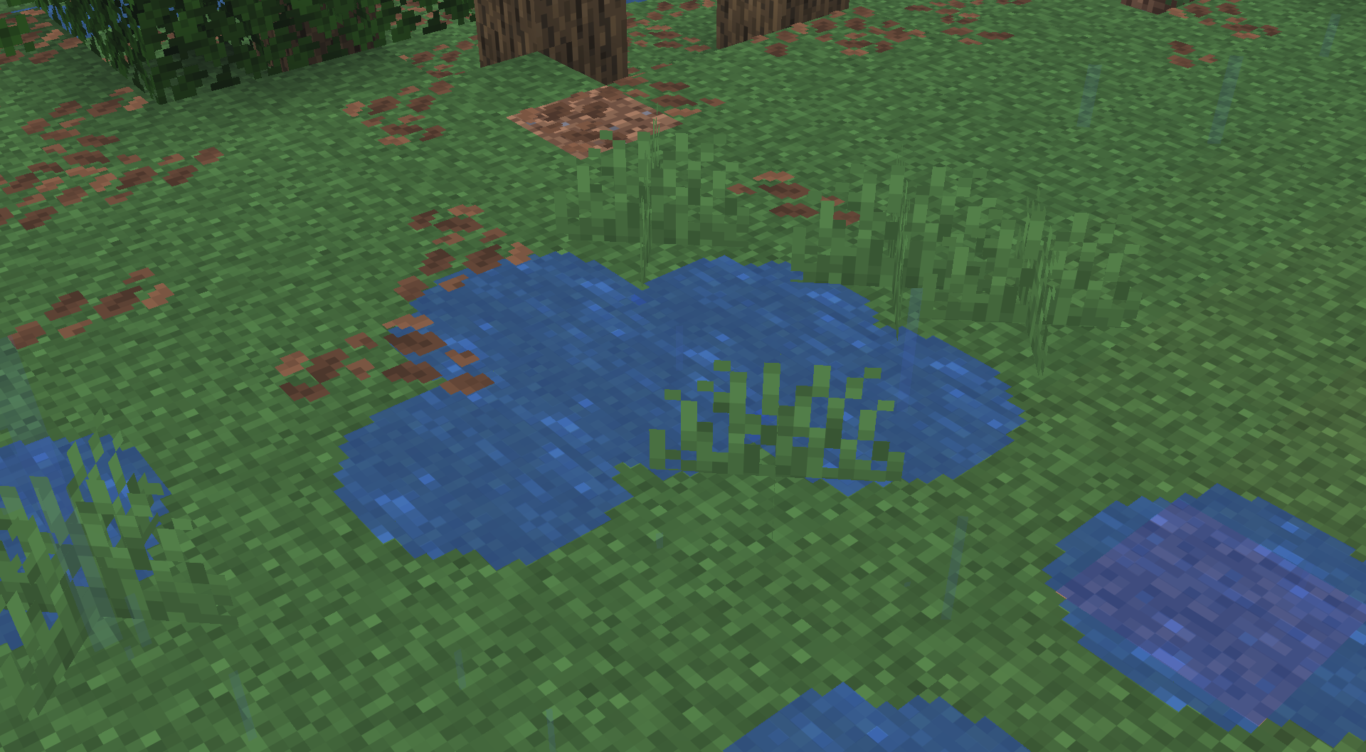 Grande flaque formée au sol dans une forêt Minecraft avec le mod Puddles & Floods