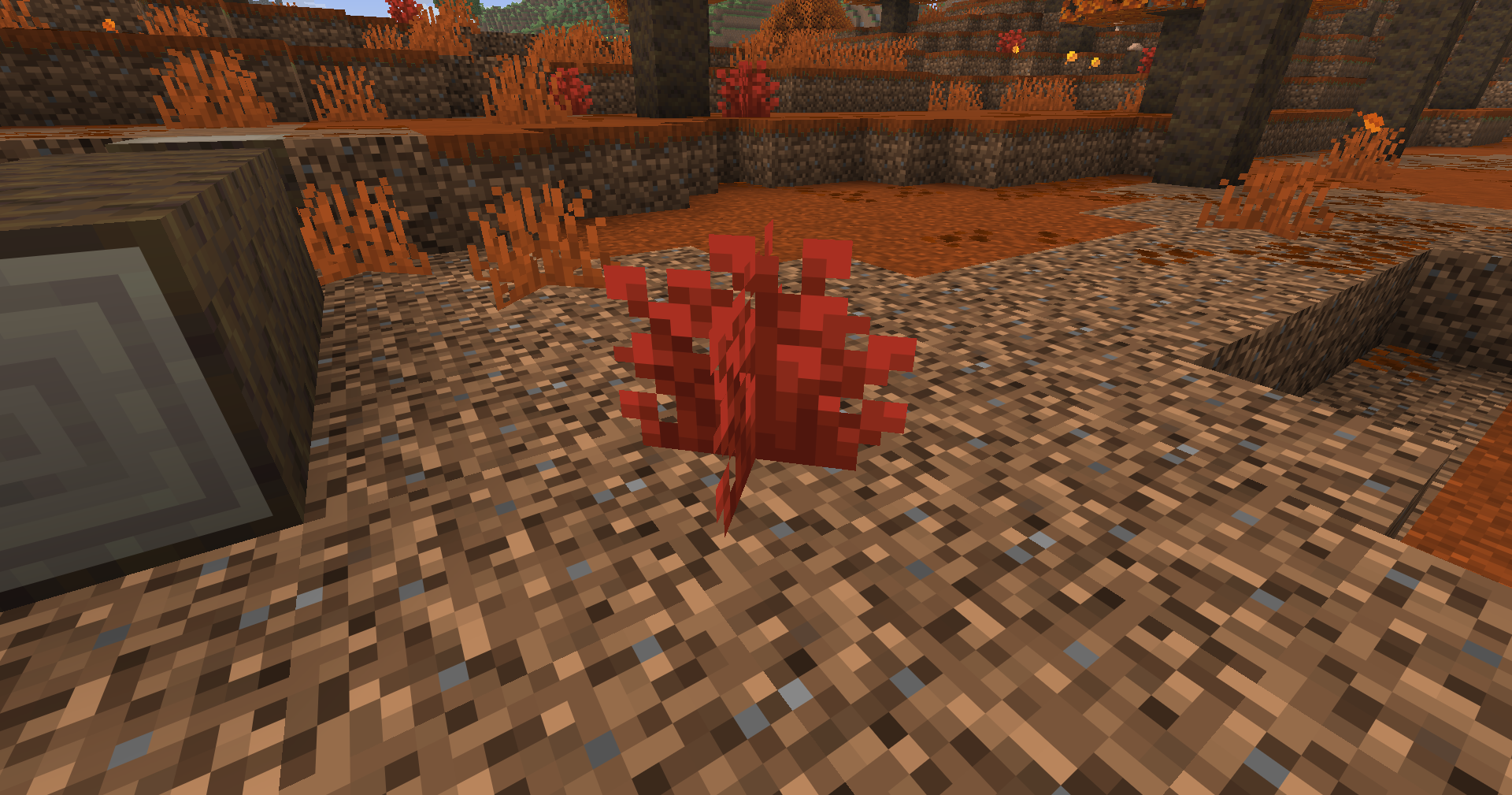 Arbuste rouge