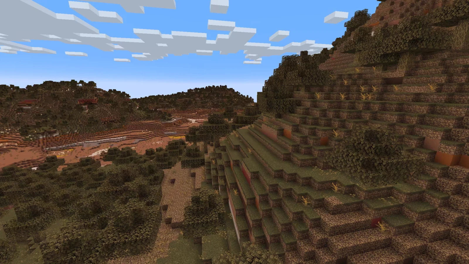 Biome Badlands boisées dans Minecraft.