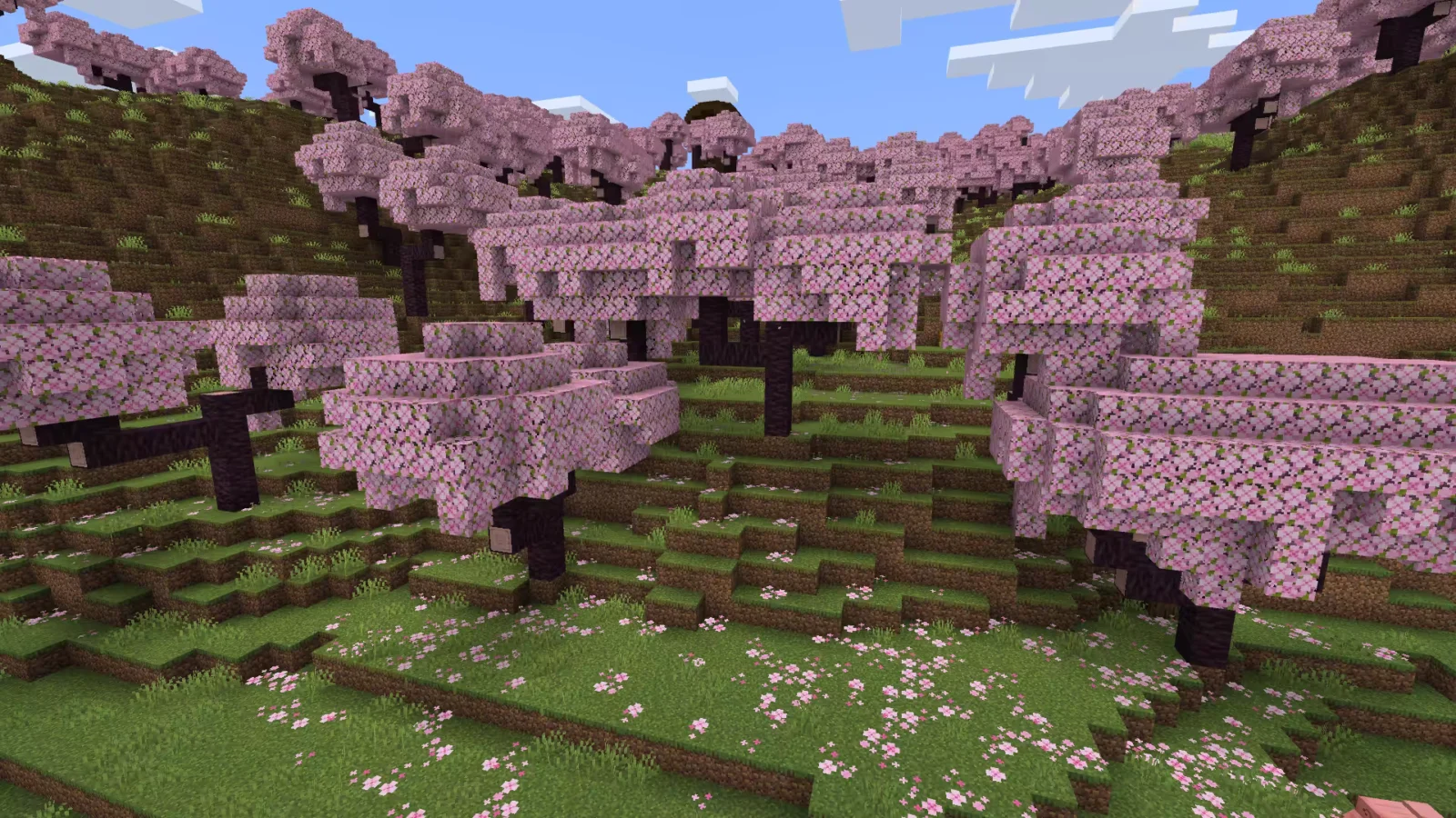Biome Bosquet de cerisiers dans Minecraft.