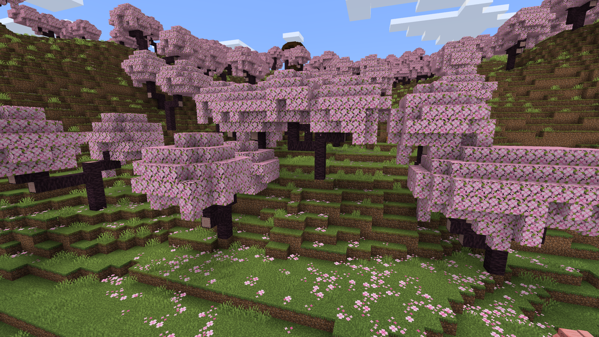 Biome Bosquet de cerisiers dans Minecraft.