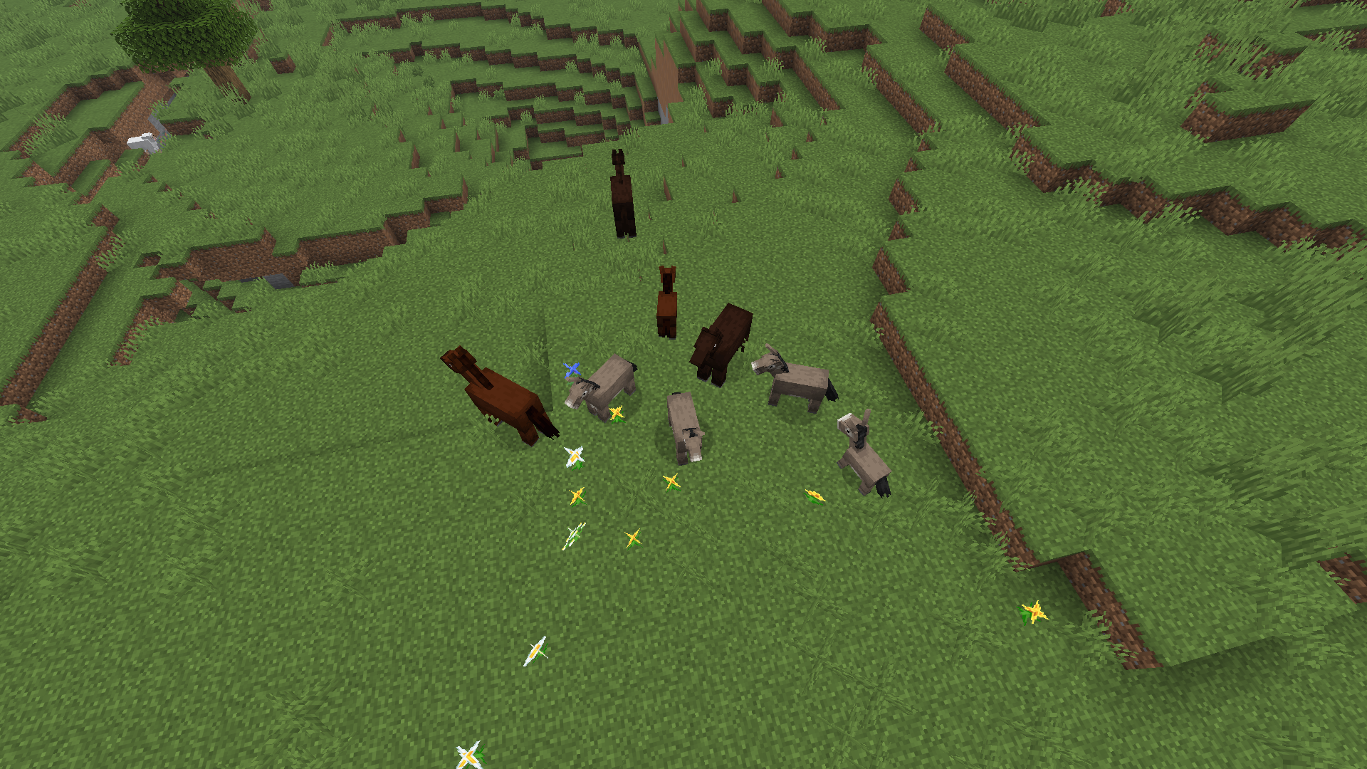 Groupe de chevaux dans une plaine de Minecraft, au milieu de l’herbe et des fleurs.