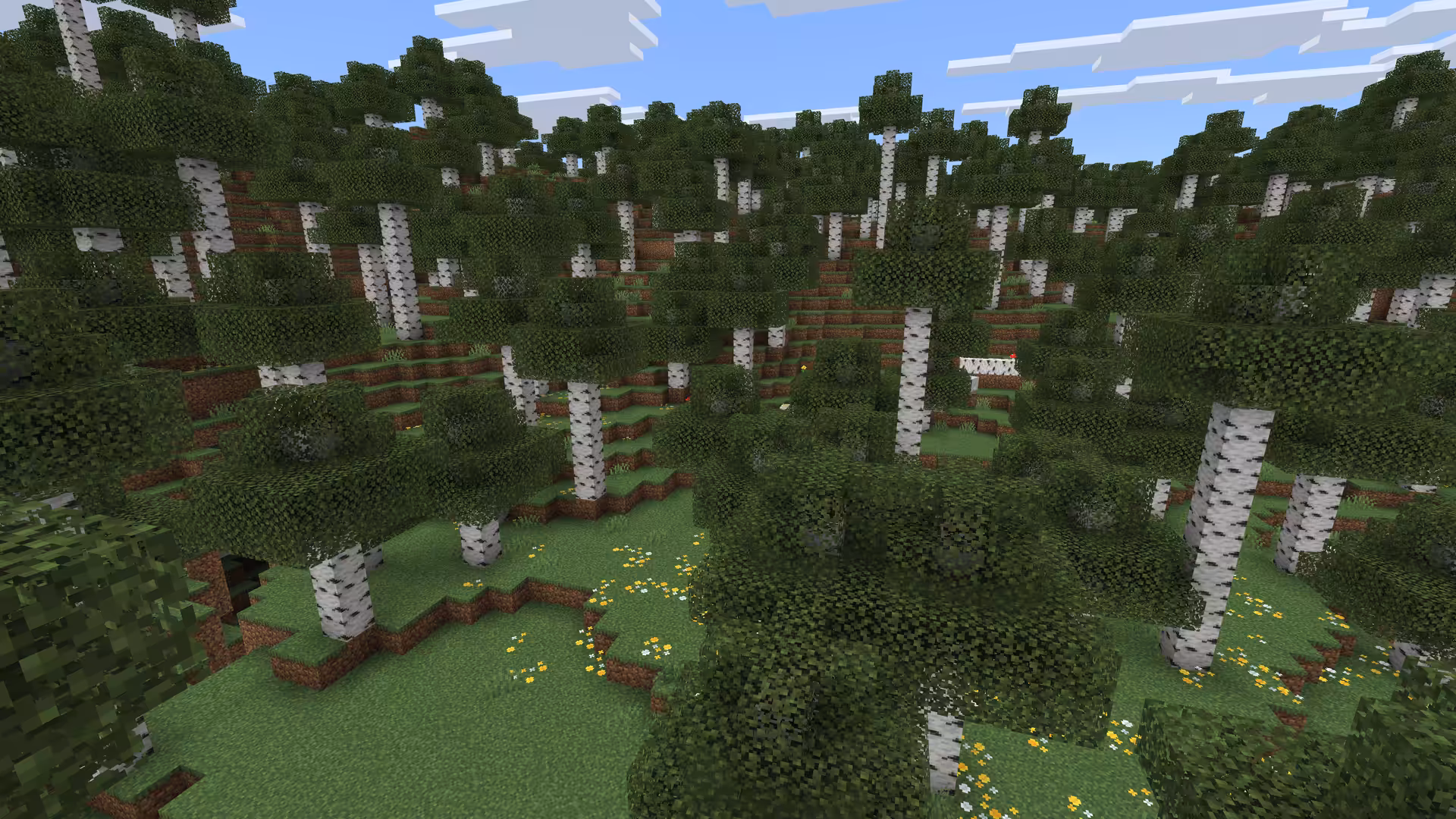 Biome Forêt ancienne de bouleaux dans Minecraft.