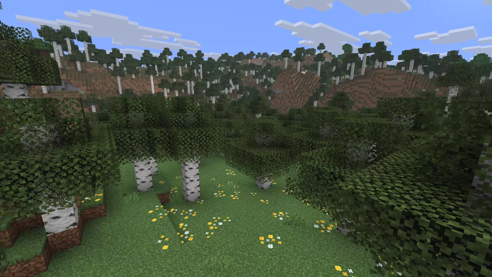 Biome Forêt de bouleaux dans Minecraft.