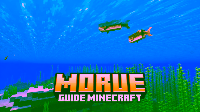 Guide de la morue