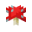 Champignon rouge