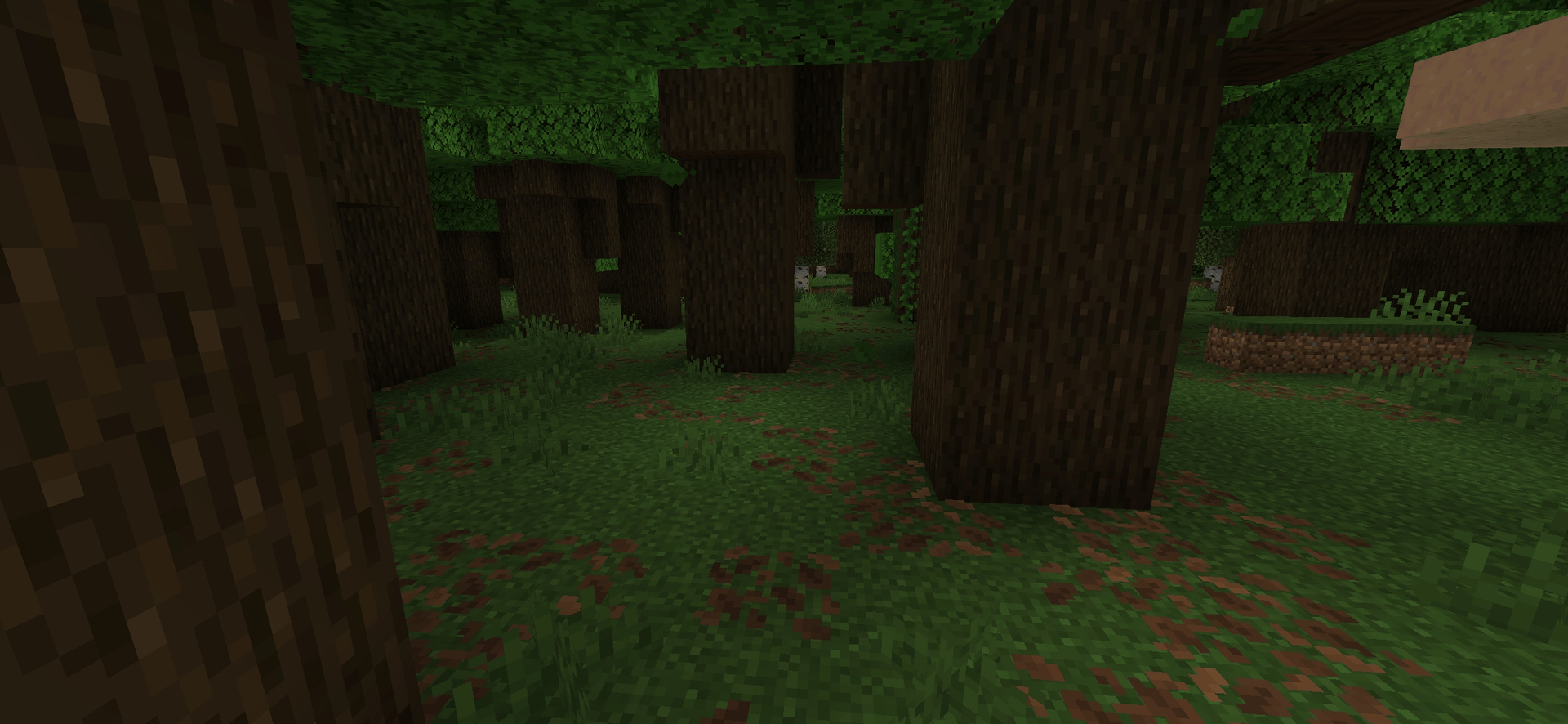 Intérieur d’une forêt sombre dans Minecraft, avec des chênes noirs, de grands champignons et un sol peu éclairé.