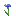 Bleuet