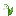 Muguet